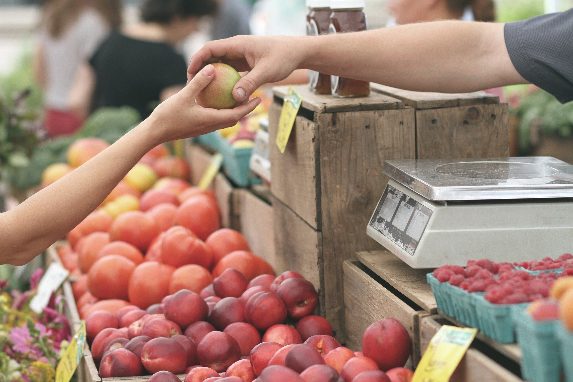 Food Sovereignty: More than Just  A Farmer’s Market
